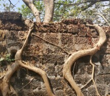 Реди Форт (Redi fort) - Индия, Махараштра